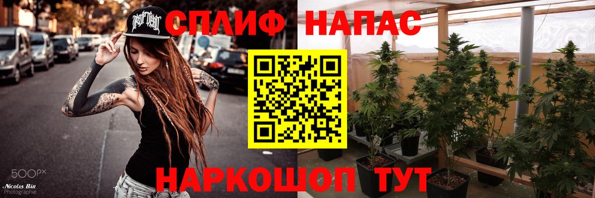 Шишки марихуана сатива Кольчугино